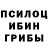 Псилоцибиновые грибы Psilocybine cubensis Spatazoh