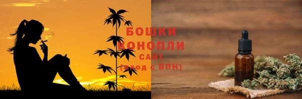 шишки Абаза
