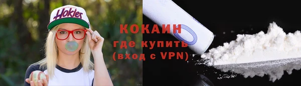ешки Снежногорск