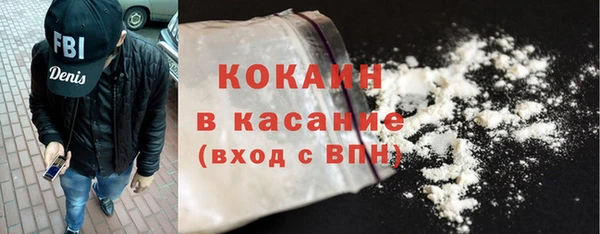 шишки Абаза