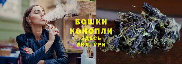 шишки Абаза